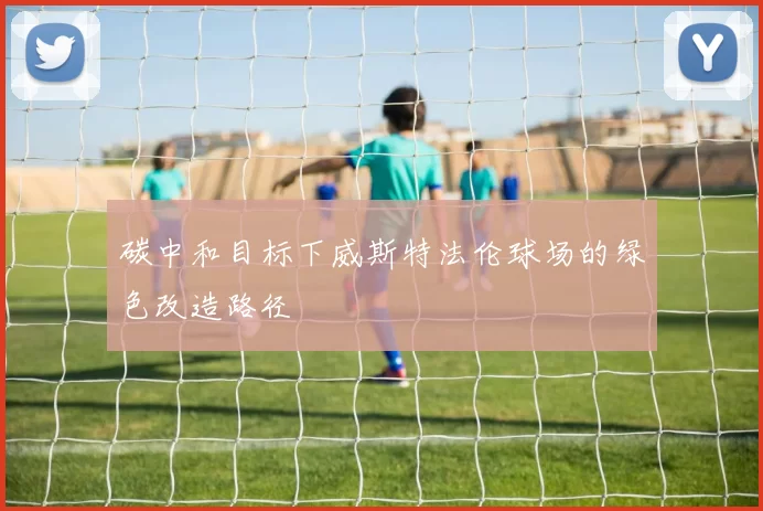 碳中和目标下威斯特法伦球场的绿色改造路径
