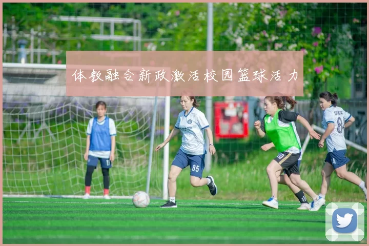 体教融合新政激活校园篮球活力