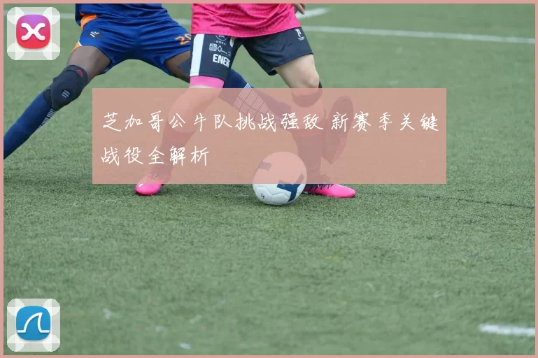 芝加哥公牛队挑战强敌 新赛季关键战役全解析