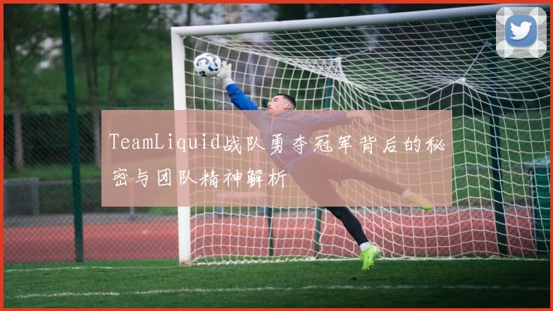 TeamLiquid战队勇夺冠军背后的秘密与团队精神解析